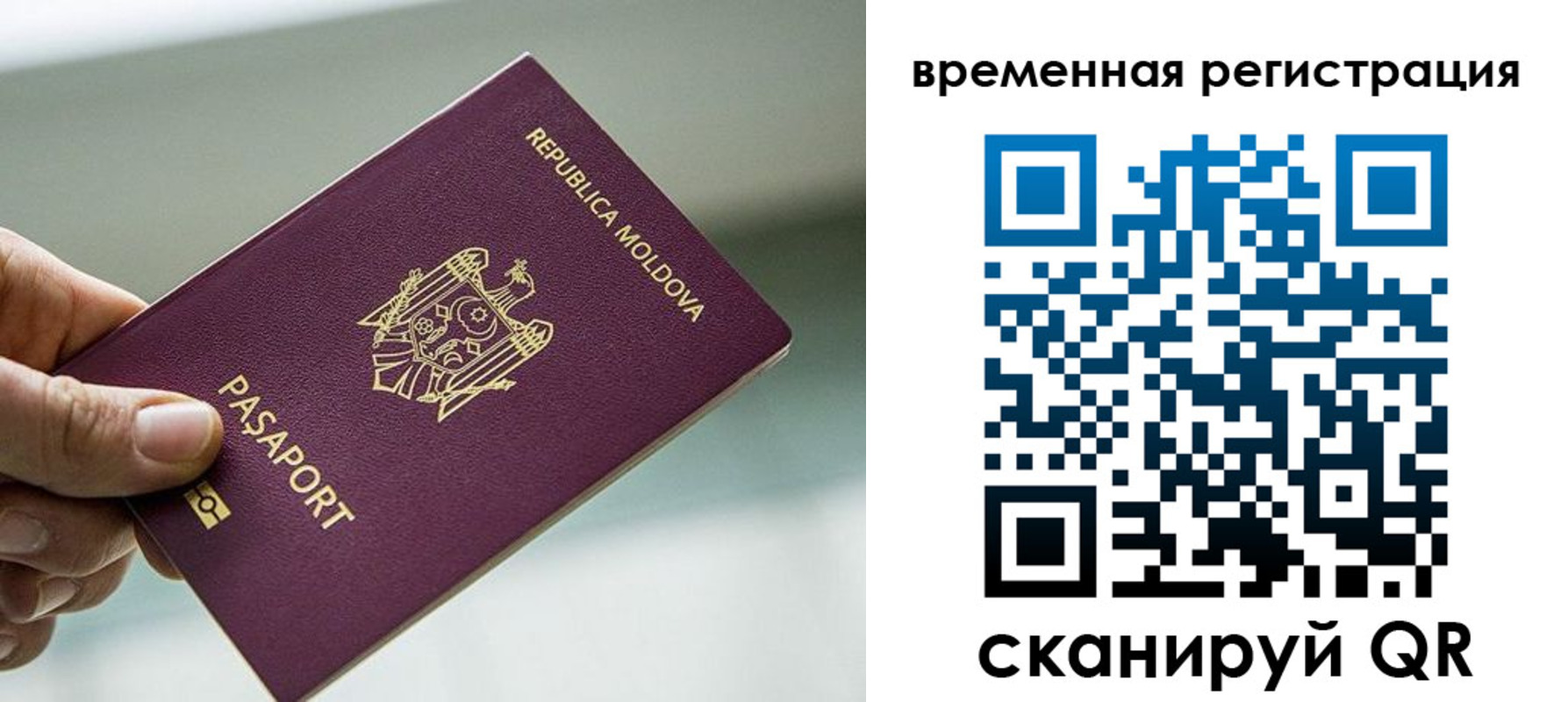прописка для школы в Челябинске